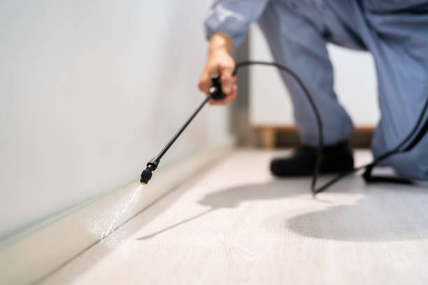 Rodent Entry Point Assessment in Summitville