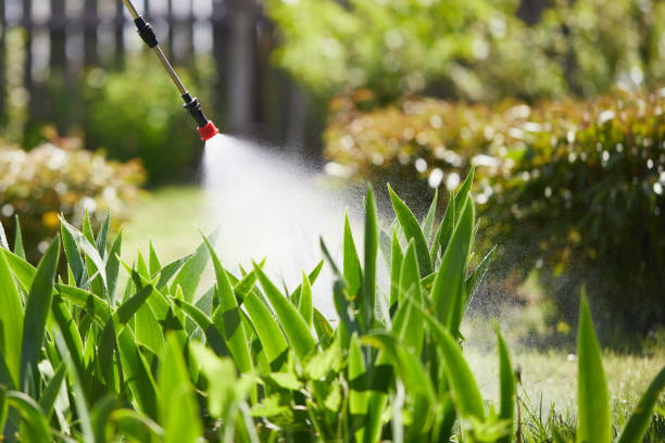 Tamper-Resistant Bait Stations for Rodents in Summitville