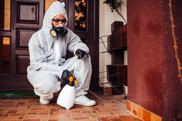 Attic and Crawl Space Rodent Treatment in Summitville