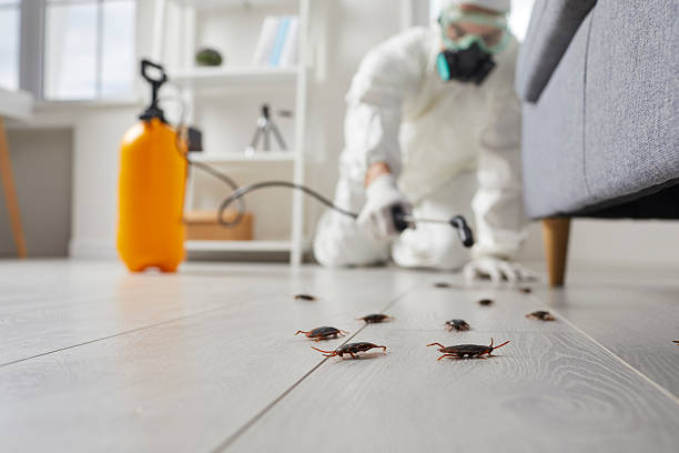 Commercial Rodent Management in Summitville